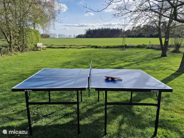 Tafeltennissen in de tuin